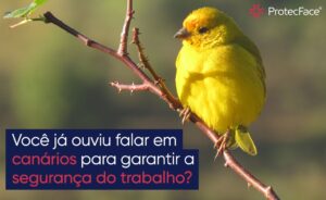 Você já ouviu falar em canários para a segurança do trabalho?